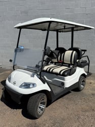 2021 Advanced EV image